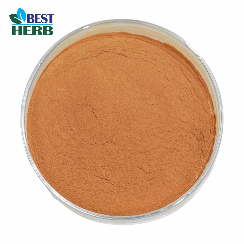 Ginkgo Biloba Bulk Powder