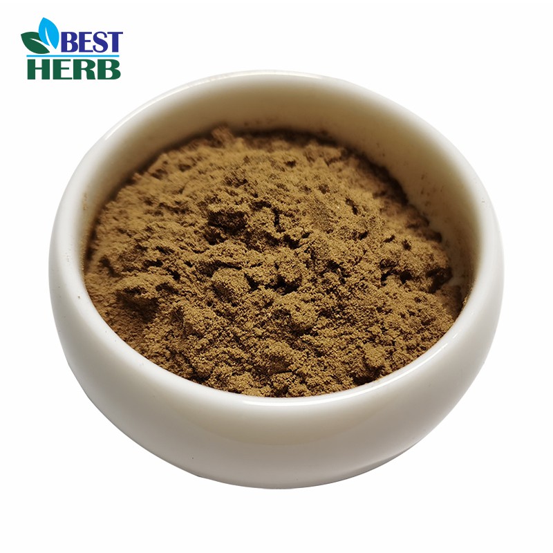 Honeysuckle Flower Extract