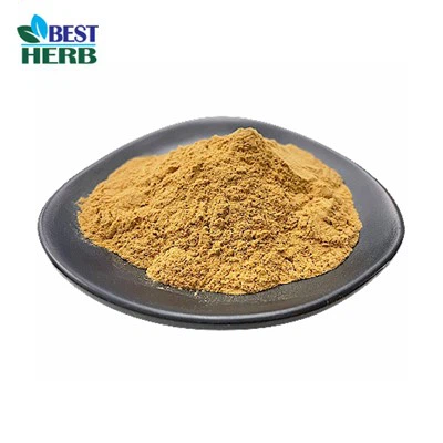 สารสกัดจากราก Longjack เป็นแหล่งสารอาหารที่ดีหรือไม่?