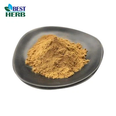 Chaga Extract Powder สามารถเพิ่มการเผาผลาญได้หรือไม่?